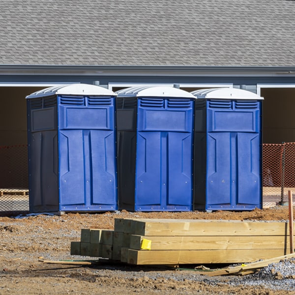 how often are the porta potties cleaned and serviced during a rental period in Birch River WV